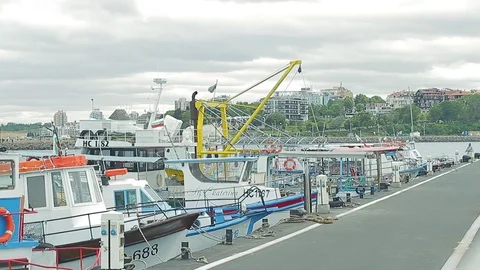 Dock 動画素材 78069093