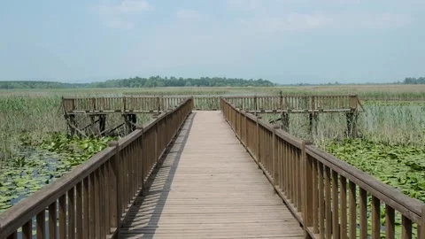 Dock on the lake Stock-Footage 221678178