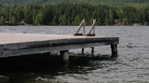 Dock on a Lake with Trees in Background Stock-Footage 300380731