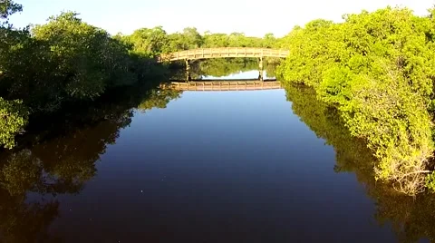 Dock Mangroves Bridge.mp4 Stock-Footage 43554273