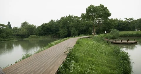 Dock with Path in wetlands and Tree Hangzhou China Stock Footage 93351789