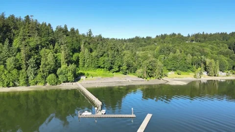 Dock pier with lush green trees on ocean lake coast Stock Footage 155726657