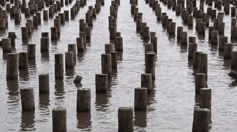 Dock Pilings Along the Hudson River Stock Footage 35517656