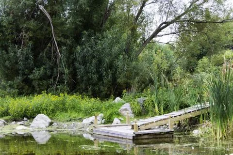 Dock at a quiet pond Stock Photos