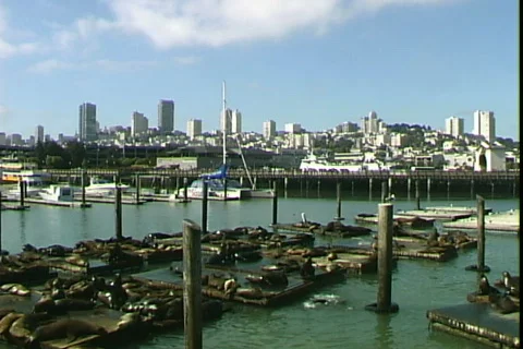 Dock Seals &amp; City Video stock 817309