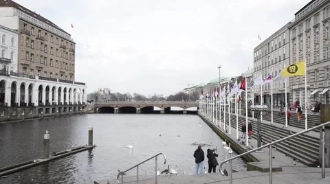 Dock with swans in Hamburg Video stock 62714691