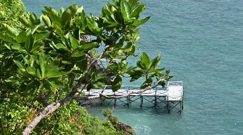 A dock is on the water next to a tree Stock Photos