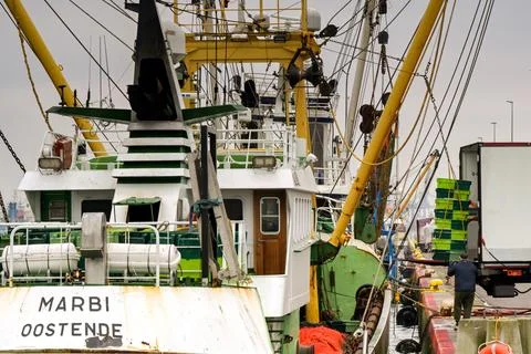 Dock worker loading a lorry with fish in Le Havre, France Stock Photos