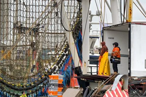 Dock workers loading a lorry with fish in Le Havre Stock Photos