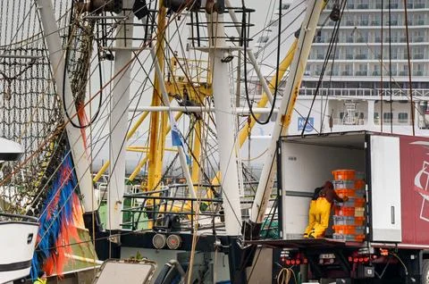 Dock workers loading a lorry with fish in Le Havre Stock Photos