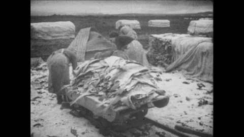 Dock workers stack salted fish and canvases on rolling cart. Men and women stack 스톡 동영상 91623499