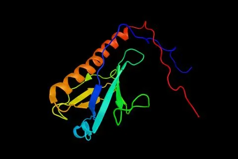 Dock9, a protein which can activate Cdc42 in vitro and in vivo via its DHR2.. Stock Illustration