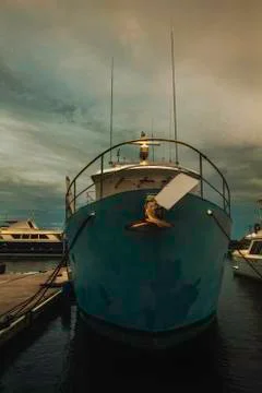 Docked boat Stock Photos