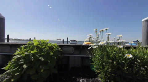Docked Boats Crane Up Stock Footage 64945028