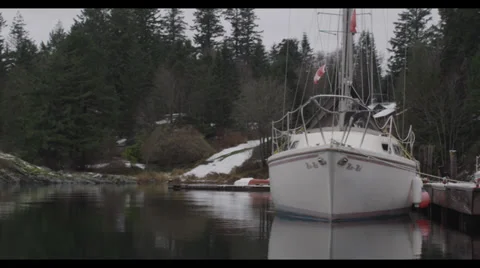 Docked Boats Stock Footage 32006944