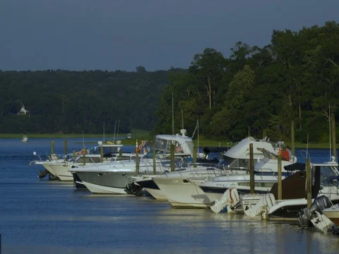 Docked Boats Stock Footage 79969746