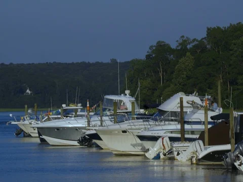 Docked Boats Stock Footage 79969748