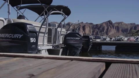 Docked Pontoon Boats Video stock 200800248