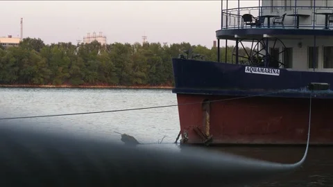 Docked ship in the river Danube, with a rope in the foreground Video stock 157024928