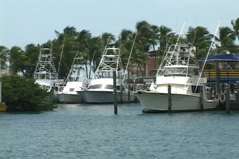 Docked Yachts Video stock 840295