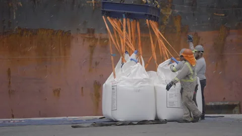 Dockers using a forklift for loading and unloading large cargo bags from a t at Stock-Footage 345102001