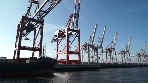 Docks and cranes 動画素材 43857398