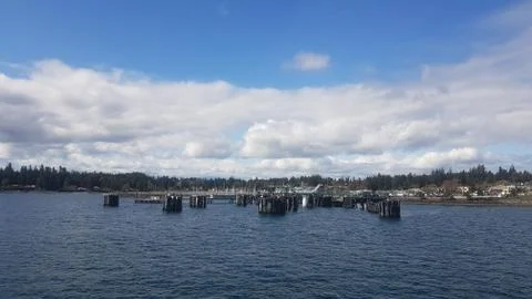 Docks and Forest Stock Photos