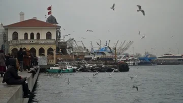 The docks are flying seagulls . Super slow motion Video stock 85692393