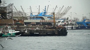 The docks are flying seagulls . Super slow motion Vídeos de archivo 85692394