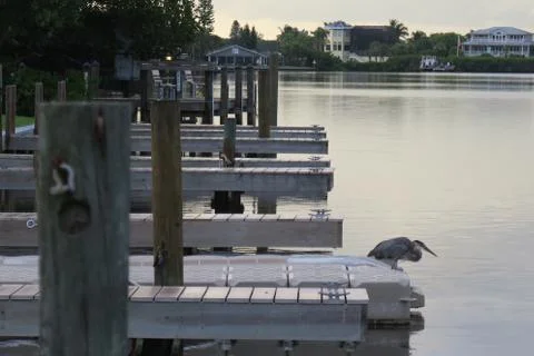 Docks on Manasota Key with pelican on dock Stock Photos