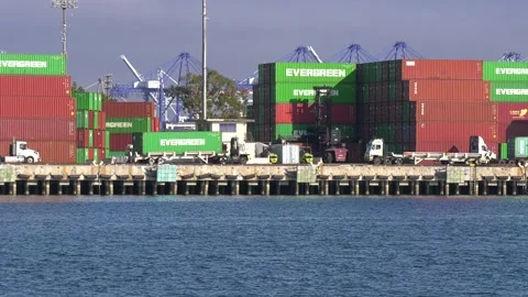Dockworkers on dock unloading container ships with trucks forklifts Stock Footage 243221158
