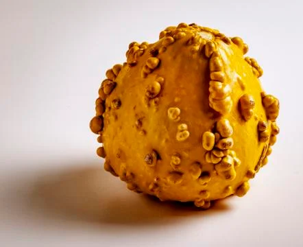 Docorative Gourd Stock Photos