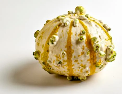 Docorative Gourd Stock Photos