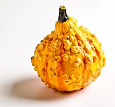 Docorative Gourd Stock Photos