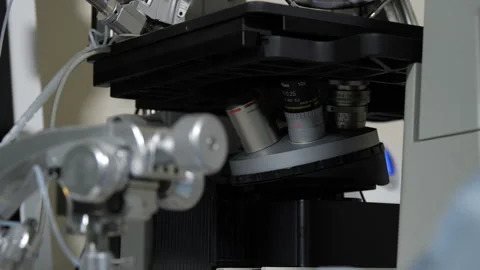 Doctor adjusts microscope lenses on close-up Stock-Footage 97460745