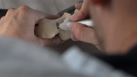 Doctor dentist holding a mock-up of a human jaw Video stock 95855053