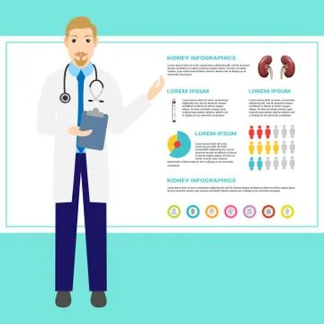 Doctor for a description of the kidney diseases. Vector Stock Illustration
