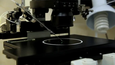 The doctor examines the sperm samples under a microscope. Stock Footage 76365163
