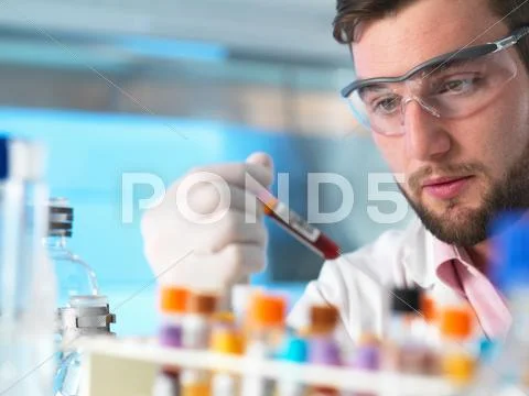 Doctor Examining Patient Medical Samples In Laboratory