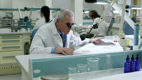 Doctor examining samples through a microscope 스톡 동영상 77078515