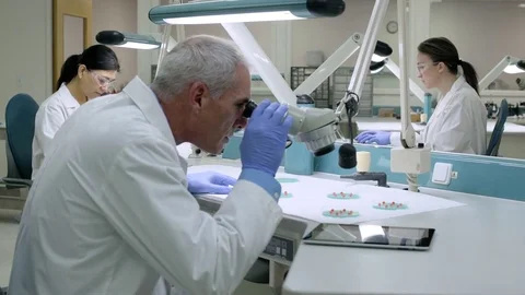 Doctor examining samples through a microscope Stock Footage 77097885