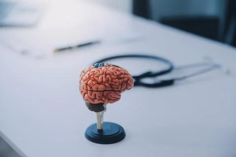 Doctor explaining brain functions to patient on model in office. Foto stock