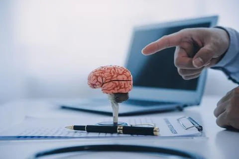 Doctor explaining brain functions to patient on model in office. 写真素材