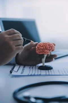 Doctor explaining brain functions to patient on model in office. 写真素材