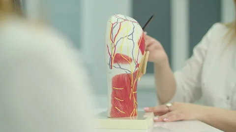 Doctor explaining causes of headache using anatomy head model Stock Footage 325854592