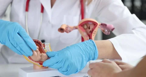 Doctor explaining to patient process of fertilization on artificial models of 스톡 동영상 273785288