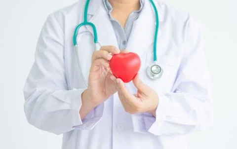 Doctor with hanged stethocope is holding red rubber heart shape in hands Stock Photos