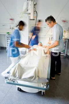 A Doctor Helping A Patient In Hospital