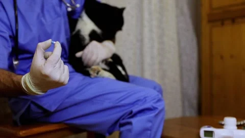 A doctor is holding a cat while holding a pill for his treatment Stock Footage 271658157