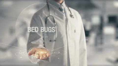 Doctor holding in hand Bed Bugs 스톡 동영상 77216218